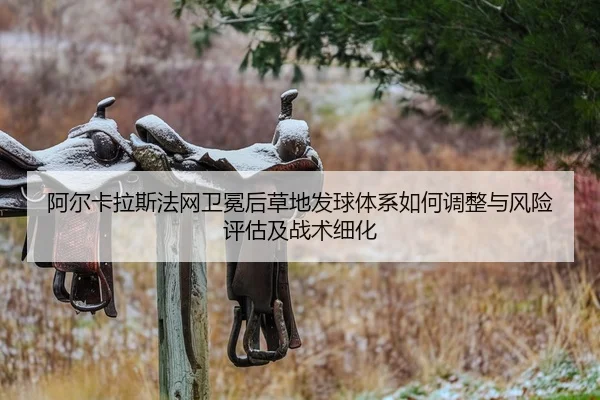 阿尔卡拉斯法网卫冕后草地发球体系如何调整与风险评估及战术细化
