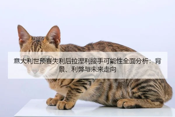 yi-da-li-shi-yu-sai-shi-li-hou-la-nie-li-jie-shou-ke-neng-xing-quan-mian-fen-xi-bei-jing-li-bi-yu-wei-lai-zou-xiang-2-397.jpg